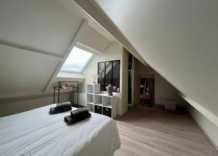 Pierre Et O By Melrose * Cottun